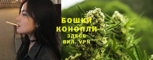 МДПВ Дмитриев