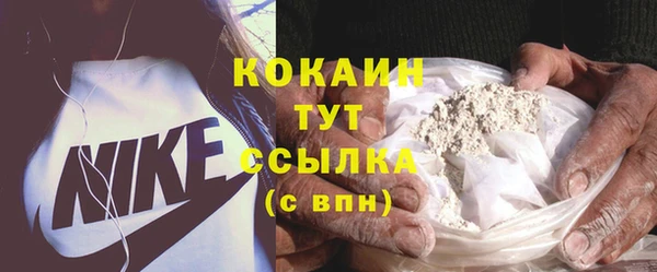 МДПВ Дмитриев