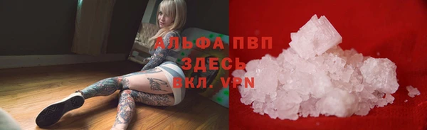 МДПВ Дмитриев