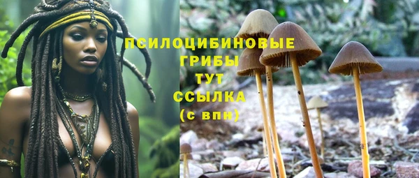 таблы Гусиноозёрск